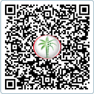 DLD QR Code