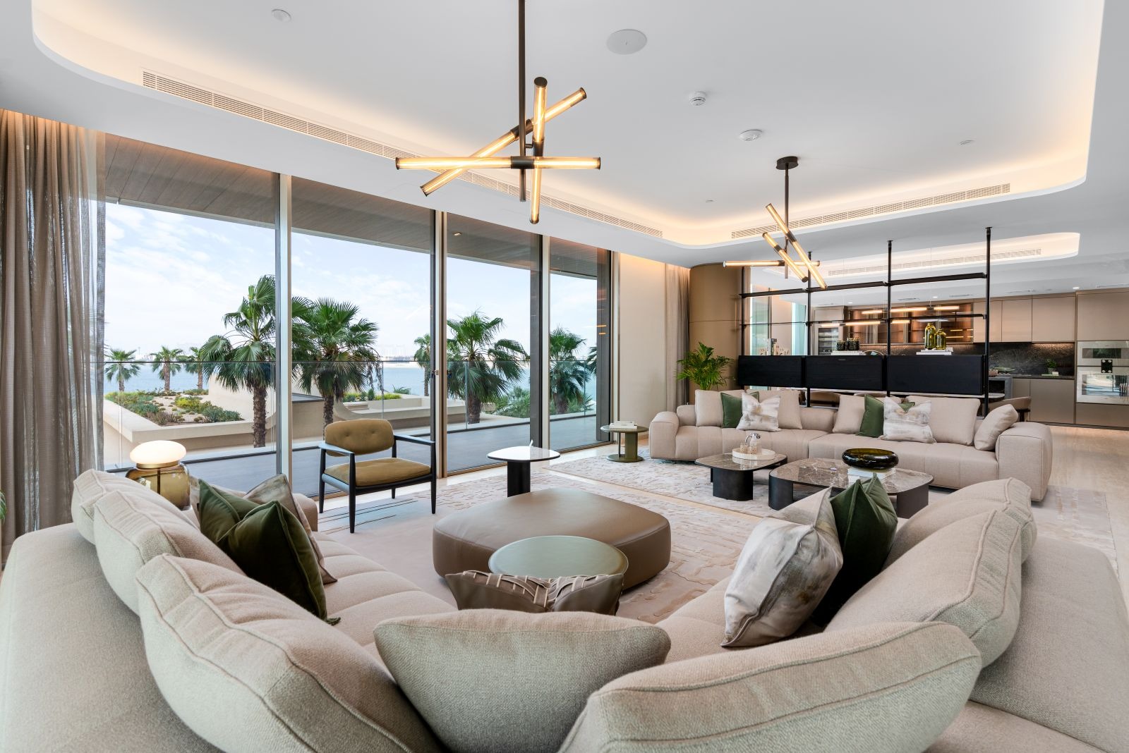 Panoramic Palm Views